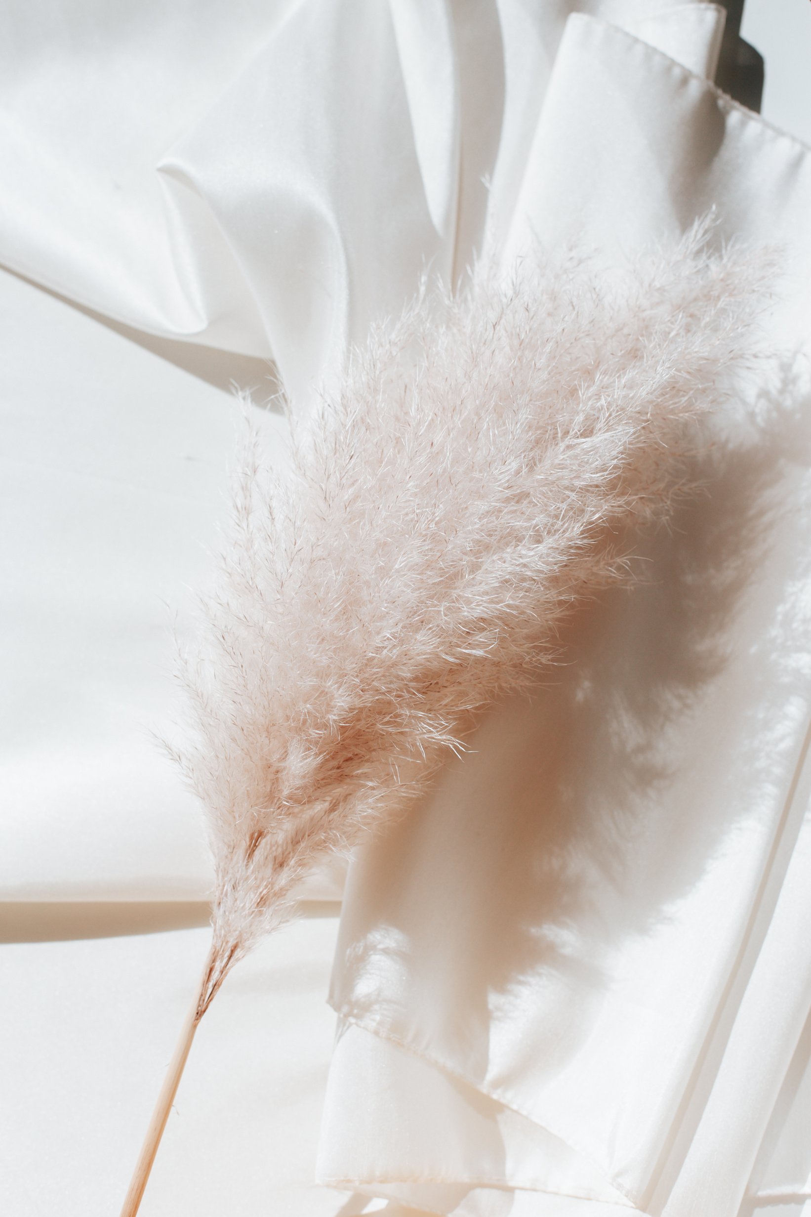 Pampas Grass on Silk Fabric